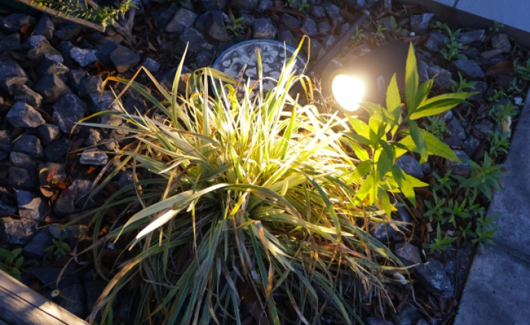 通路照明・フットライト